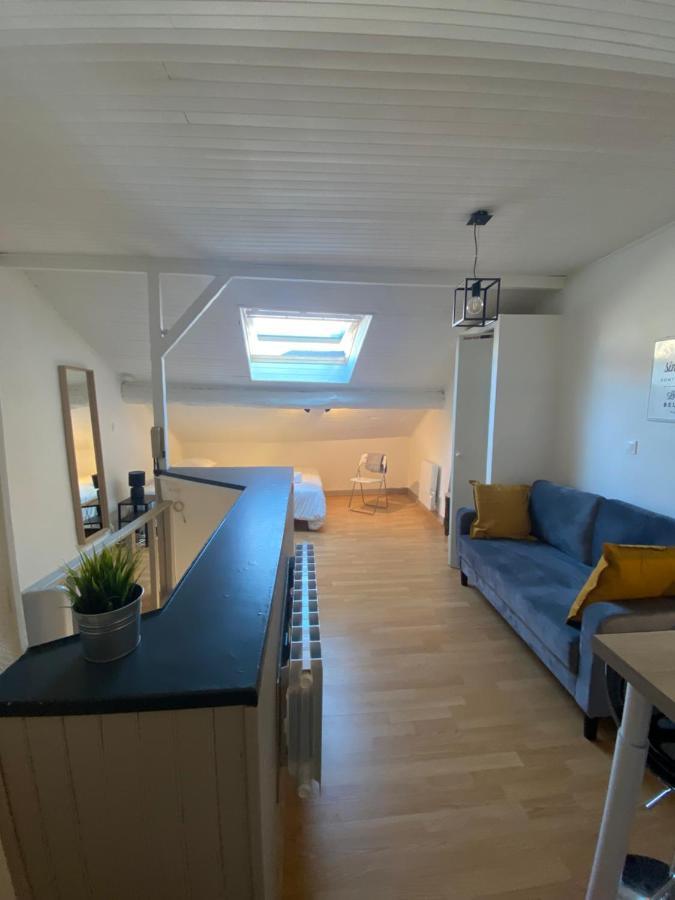Les Cosy De Nancy - Le Nid Douillet - 4*公寓 外观 照片
