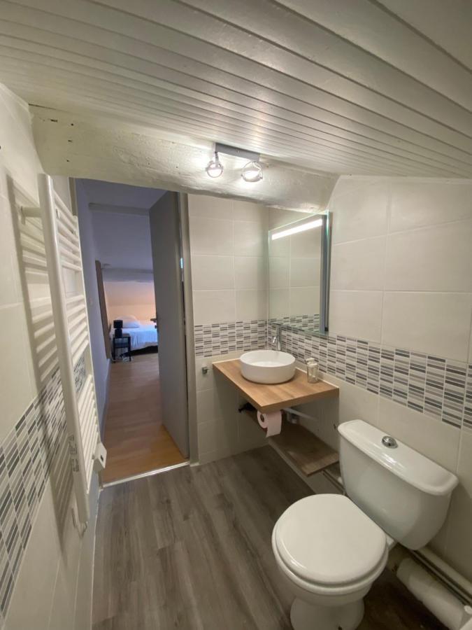 Les Cosy De Nancy - Le Nid Douillet - 4*公寓 外观 照片